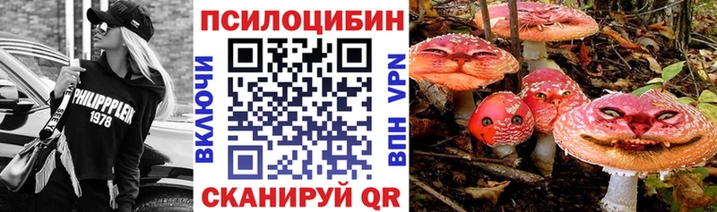 Псилоцибиновые грибы GOLDEN TEACHER  Венёв 